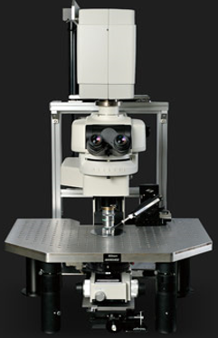 Nikon A1RMP